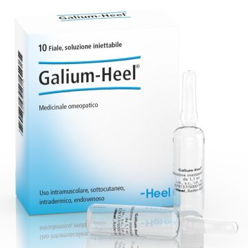 Galium 10 fiale 1,1ml
