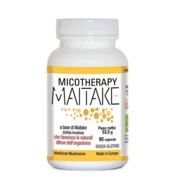 Micotherapy maitake 90 capsule