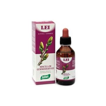 Zefirus lei linea gemme