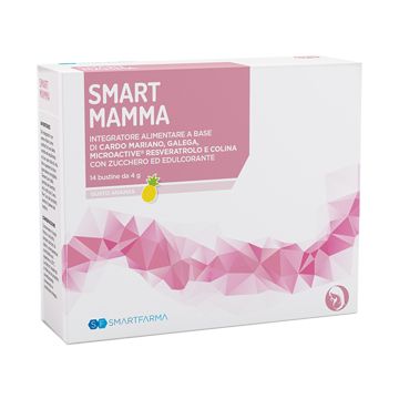 Smart mamma 14 bustine gusto ananas