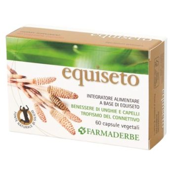 Equiseto 60 capsule 34,2 g
