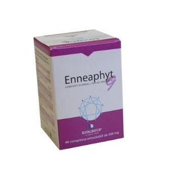 Enneaphyt 9 40 compresse orosoluzione 300mg