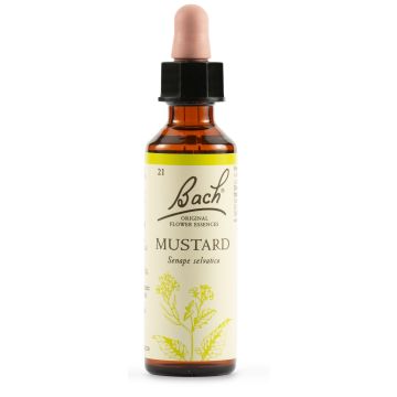 Mustard bach orig 20 ml
