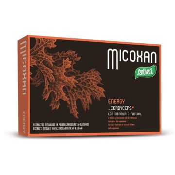 Micosan energy 40 capsule 19 g