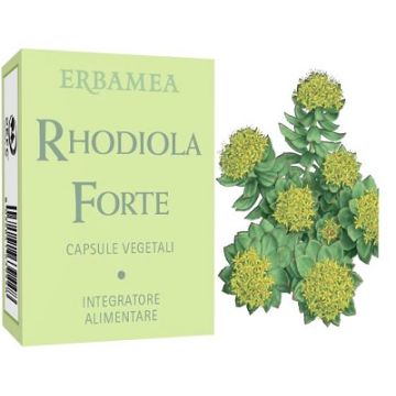 Rhodiola forte 24 capsule