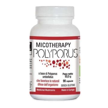 Micotherapy polyporus 90 capsule