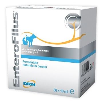 Enterofilus fiale 36 x 10 ml