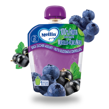 Mellin pouch mirtillo/ribes 90 g