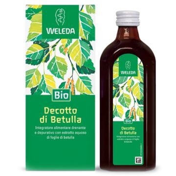 Decotto di betulla 250 ml