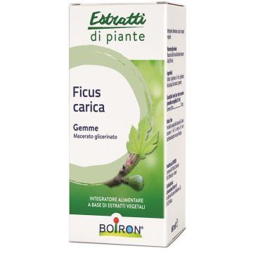 Ficus carica gemme macerato glicerinato 60 ml int