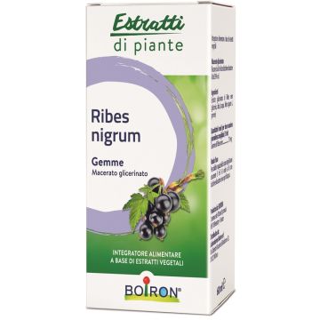 Ribes nigrum macerato glicerico 60 ml int
