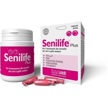 Senilife plus 60 capsule