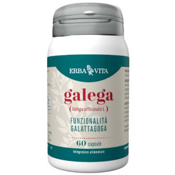 Galega 60 capsule