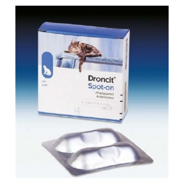 Droncit-spot-on gatti